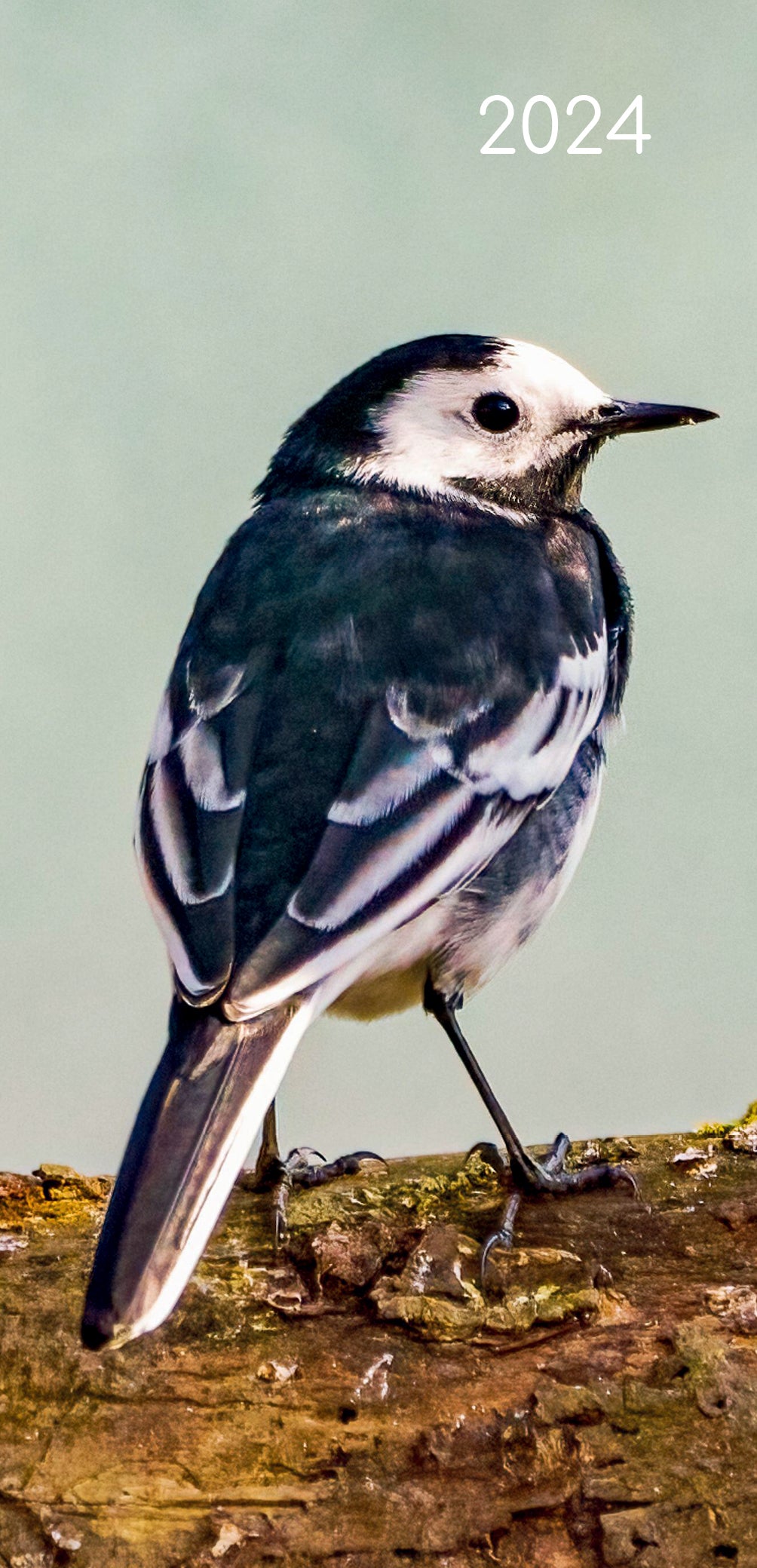 Birds - 2024 Flexi Pocket Diary Premium Planner Christmas Xmas New Year Gift